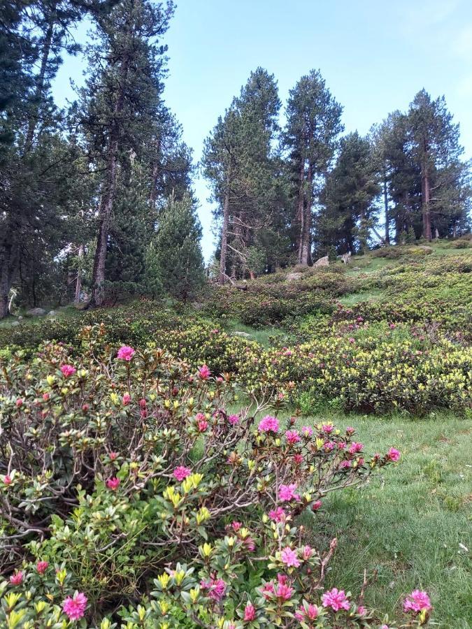 Casa Marcos Lejlighed Benasque Eksteriør billede